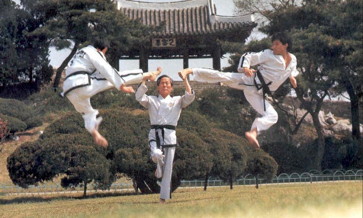 Ein Überblick über die Entstehung des modernen Taewondo