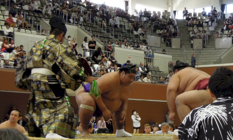 Sumo das traditionelle japanische Ringen
