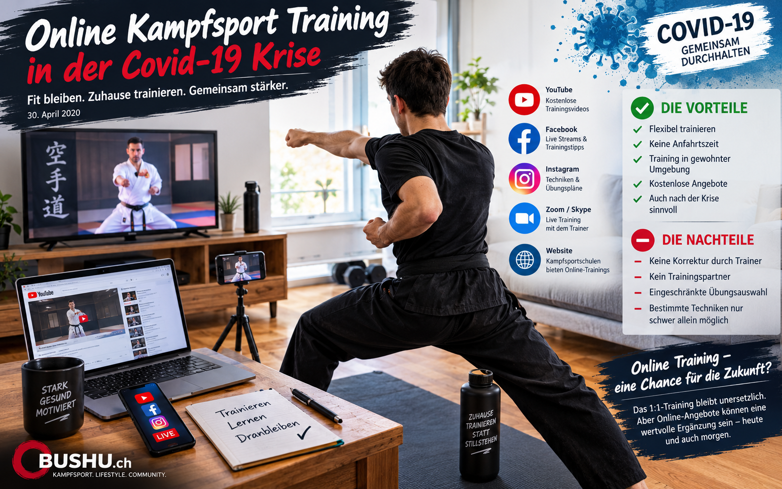 Online Kampfsport Training in der Covid-19 Krise