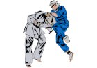 Kudo - der Kampfsport welcher Judo und Karate vereint