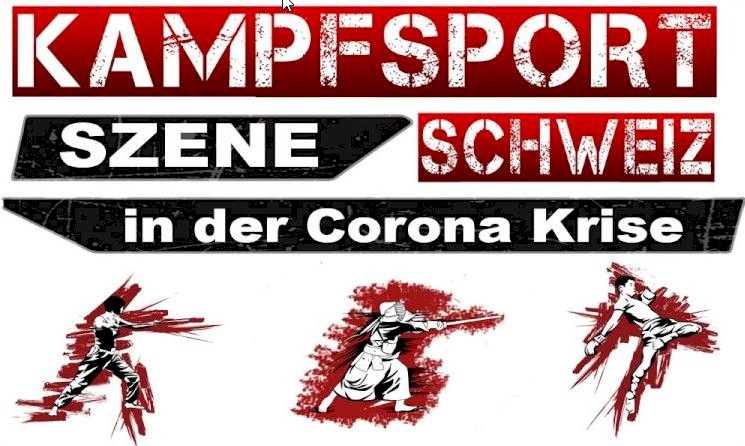 Online Kampfsport Training in der Covid-19 Krise