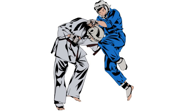 Kudo - the martial art which combines Judo and Karate