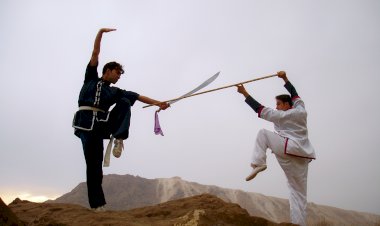 How films Influence martial arts