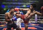 Muay Thai - the history of the national sport of Thailand