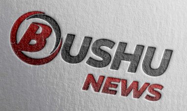 Warum wurde das Portal Bushu.ch ins Leben gerufen