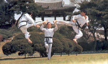 An overview of the development of modern Taekwondo