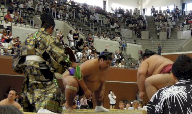 Sumo the traditional Japanese wrestling