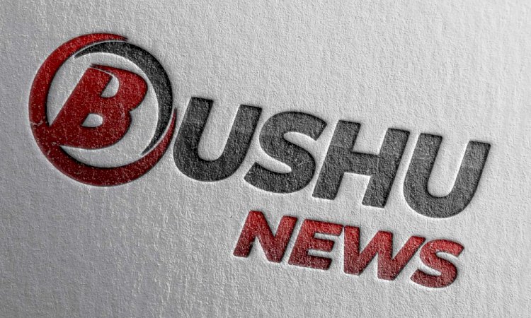 Warum wurde das Portal Bushu.ch ins Leben gerufen