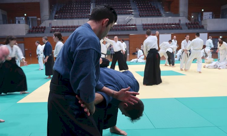 Kata - die Trainingsmethode der klassischen Kampfkunst Systemen